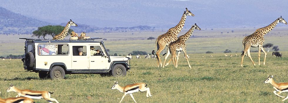 980x353_kenya-accommodation-