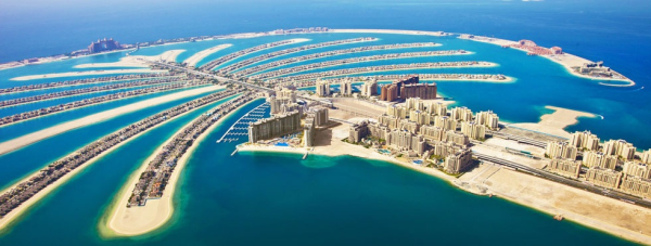 fairmont%20palm%203-resized-600